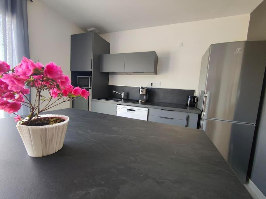 Holiday home Perroquet & Koala 2 10min Du Zoo De Beauval Et Proche Chateau *