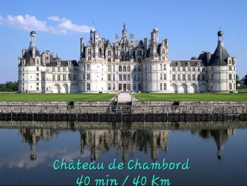 Perroquet & Koala 2 10min Du Zoo De Beauval Et Proche Chateau