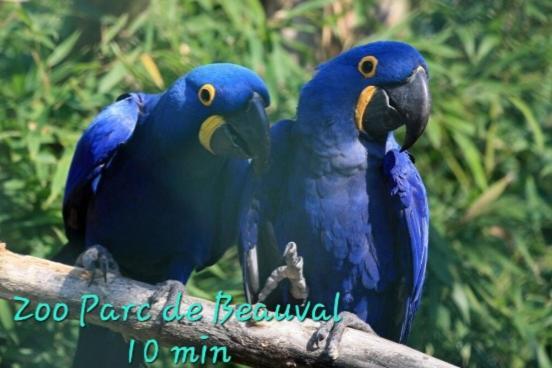 Holiday home Perroquet & Koala 2 10min Du Zoo De Beauval Et Proche Chateau